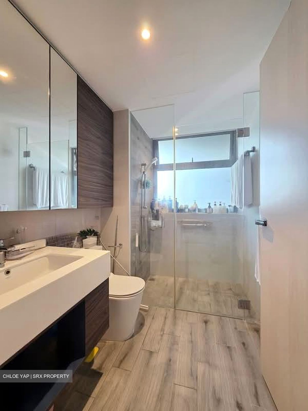 The Terrace (D19), Condominium #575399431